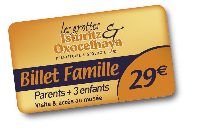 Ticket-Famille 2014