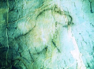 Cheval Laplace